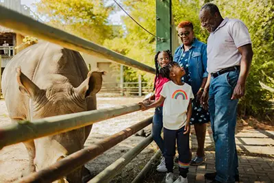 family viewing a rhinoceros at Virginia Zoo